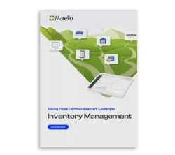  cover of whitepaper inventory management